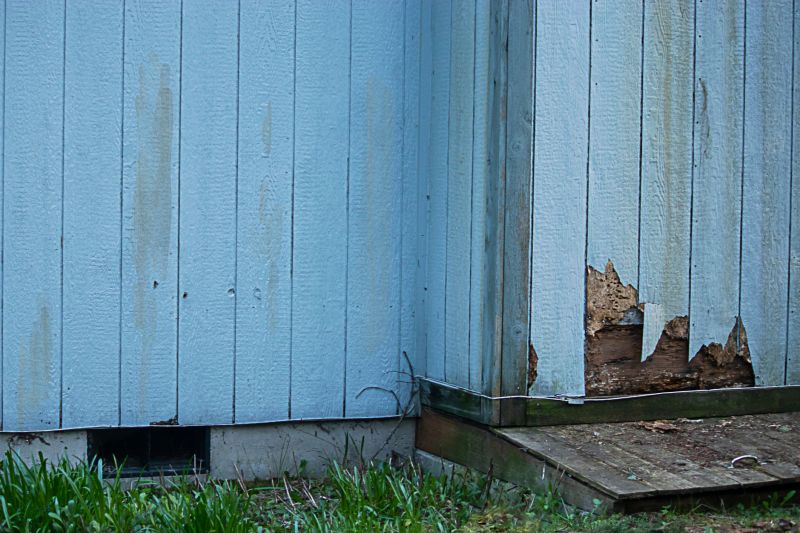 Fall Siding Maintenance